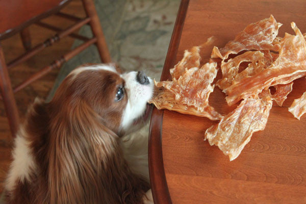 Flynn loves his treats!